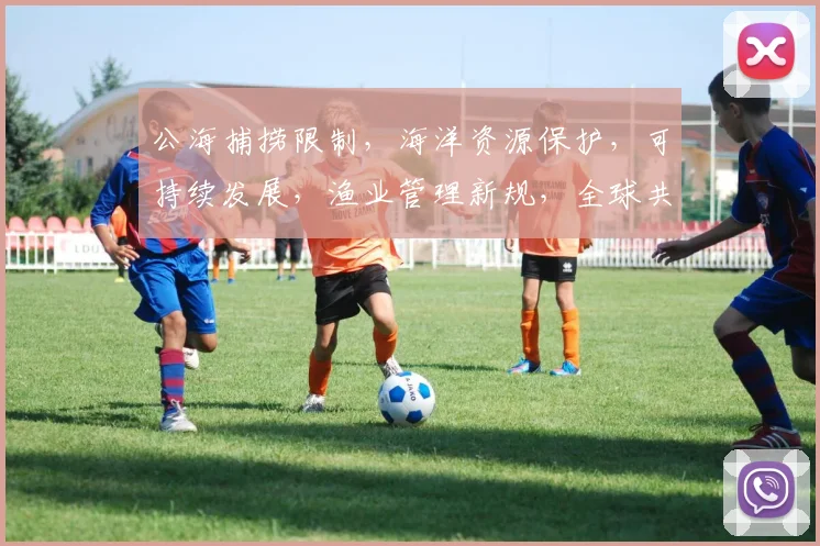 公海捕捞限制，海洋资源保护，可持续发展，渔业管理新规，全球共治挑战，三重维度解读